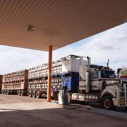 Road Trains können bis 50 Meter lang z