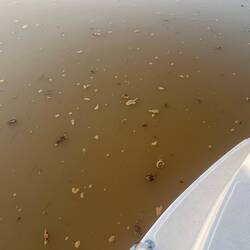 Water was pretty gross when we got up this morning.