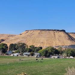 ... forwards in Idaho ...