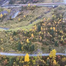 Fall colors and train we will take down