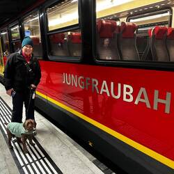 CJ and Daisy getting on the highest train in Europe