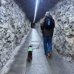 Walking into the center