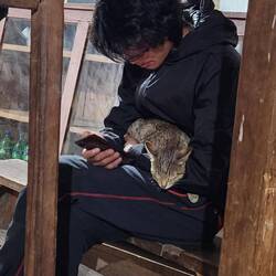 Kitty found Suvas and settled in