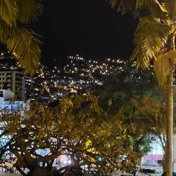 Morgens in Funchal