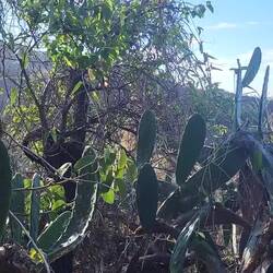 Einfach mal lauschen