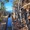 Levada-Impression