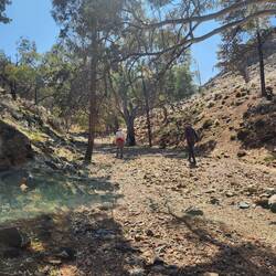 Valley at beginning of walk