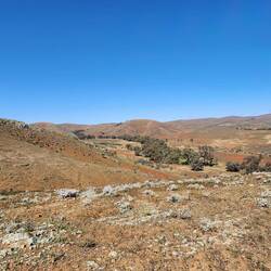 View towards the east, very dry