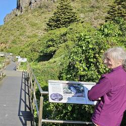 J9 checking out the penguins area in preparation to our night visit