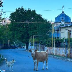 Synagogue today