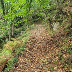 Dauert ewig, weil rutschig