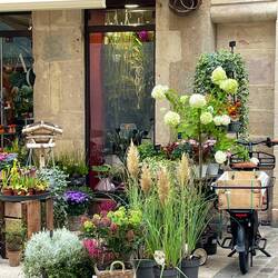 Amazing florist near our apartment