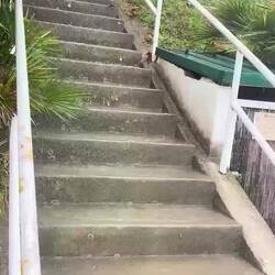 Donnerstag, 10.10. | ... hatte ich erwähnt, dass es regnet?