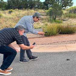 Manuel and I chasing the tarantula
