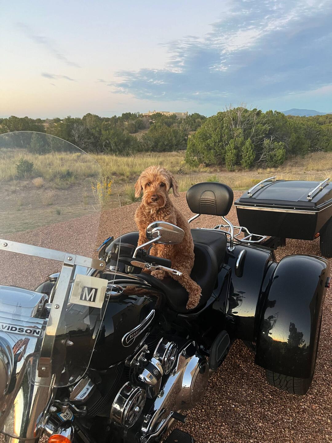 Ceci on Moto