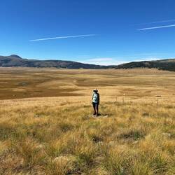 Valles Caldera formed 1 million years ago as a volcanic pit collapse. It is HUGE!