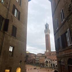 Piazza del Campo