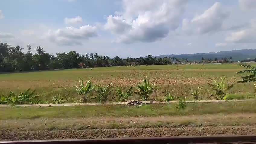 Aussicht während der Zugfahrt