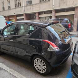 Not sure how they get out?