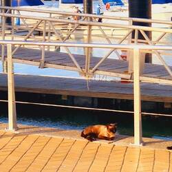 In der warmen Abendsonne!