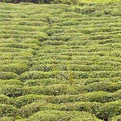 .. praktisch auf jeder freien Fläche