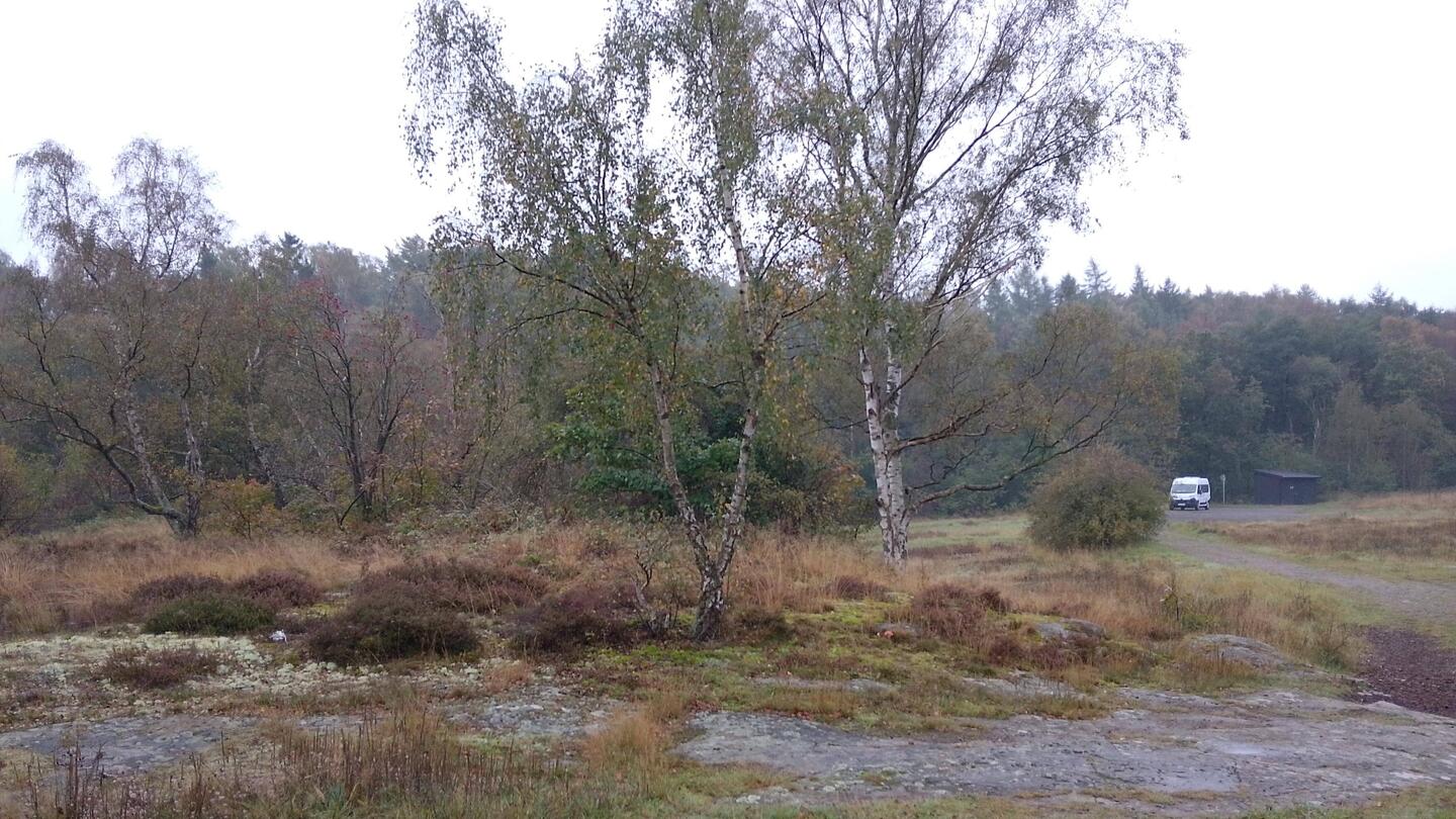 Einsames Naturschutzgebiet