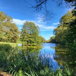Wechsel auf den Kammweg.