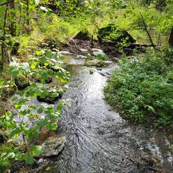 Kleine Bäche begleiten uns jetzt