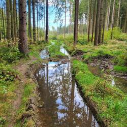 Die Wege lassen zu wünschen übrig.