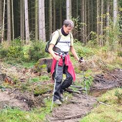 Der Tanzwolf kämpft sich durch.