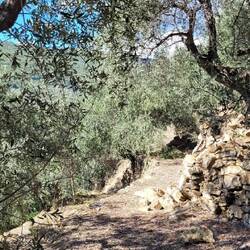 Trail 😍