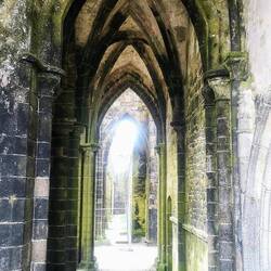 Der Kreuzgang der Klosterruine