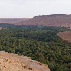 Ziz-Tal