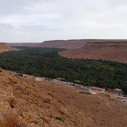 Ziz-Tal