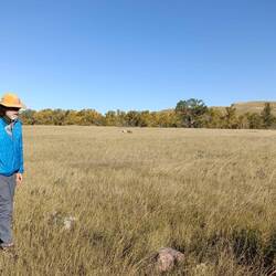Site of a medicine wheel, signifying a sacred site. And talking about plants!