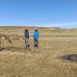 Remains of a sweat-lodge used recently for ceremonial cleansing for Blackfoot men