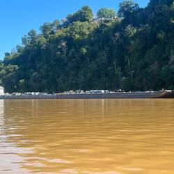 Tow holding up against the shore below Knoxville.