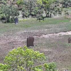 Drone footage courtesy of Phil