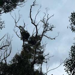Kangaroo Island Wilderness Trail