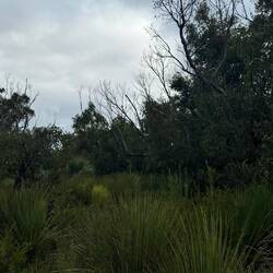 Kangaroo Island Wilderness Trail