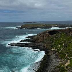 Fur Seal Lookout