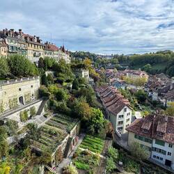 Gardens below the platform park