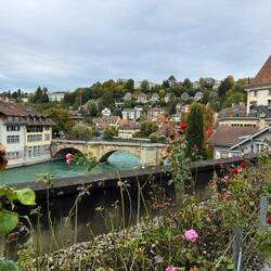 View from the bear pit