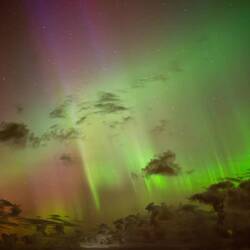 Nordlichter auf der Fähre nach Stockholm🥹