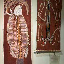 Kunst des Nordens. Kommt mir vom Ubirr sehr bekannt vor. Links ein Barramundi.