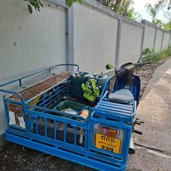 Die Dinger fahren überall rum