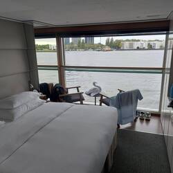 Our room
