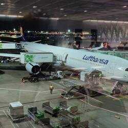 Unser Airbus A340-600
