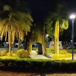 Im Park