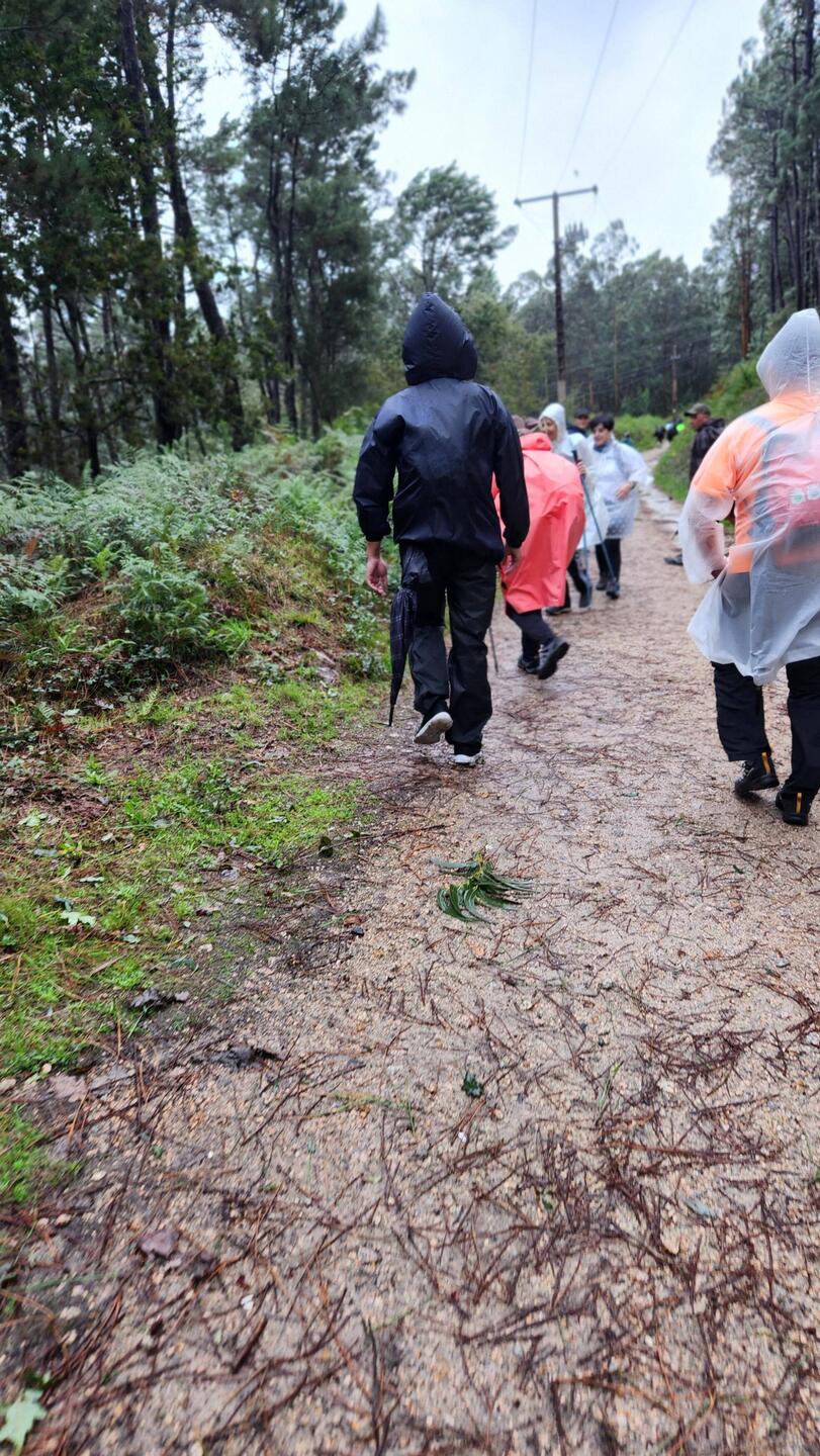 Through the eucalyptus forest with Hurricane Kirk